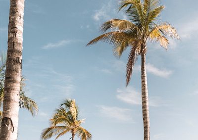 Chiusure estate 2023