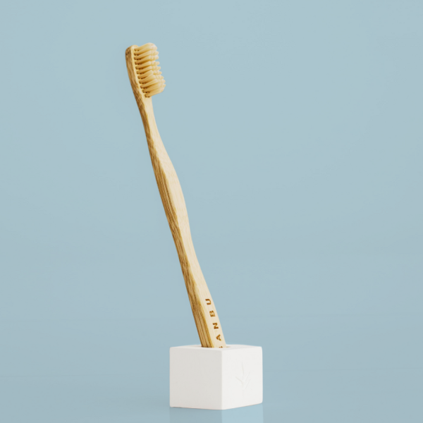 Stand in gesso per spazzolino