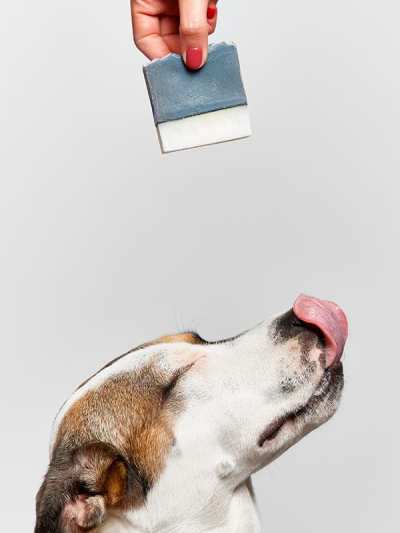 Shampoo solido per cani