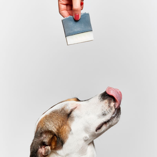 Shampoo solido per cani - immagine 2