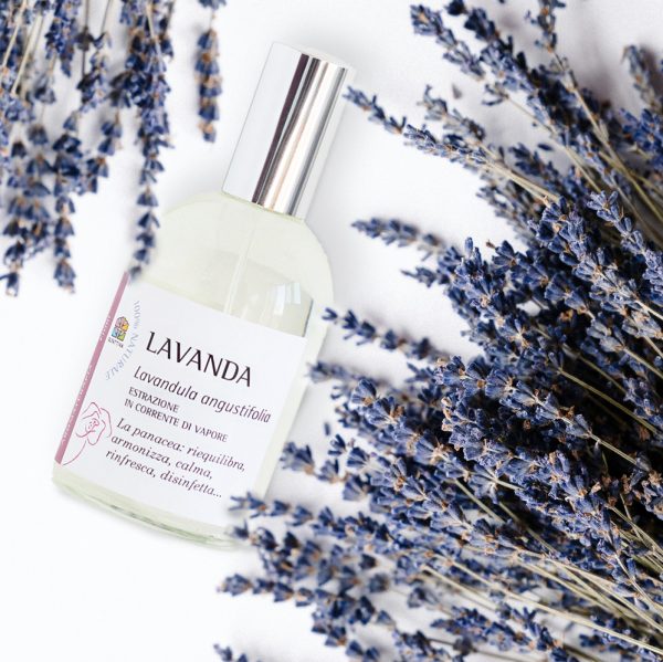 Profumo Lavanda - immagine 2