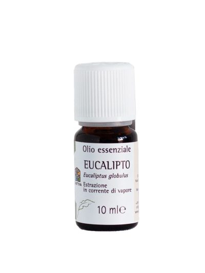 Olio essenziale Eucalipto  – puro al 100%