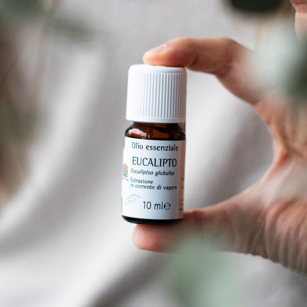 Olio essenziale Eucalipto  - puro al 100% - immagine 2