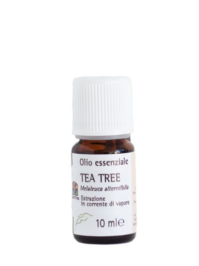 Olio essenziale Tea tree – puro al 100%
