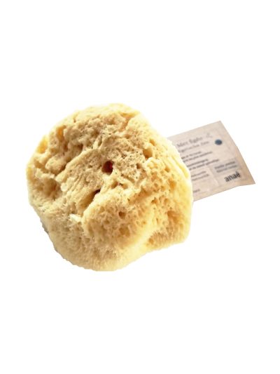 Spugna di mare naturale per il corpo