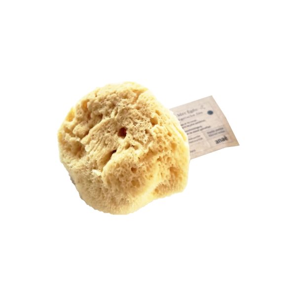 Spugna di mare naturale per il corpo