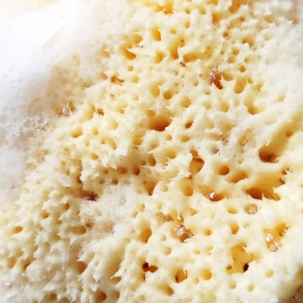 Spugna di mare naturale per il corpo - immagine 3