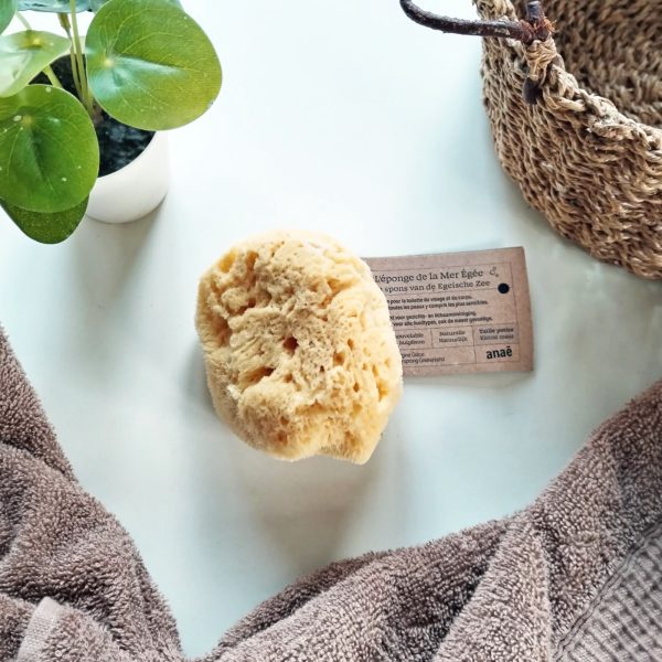 Spugna di mare naturale per il corpo - immagine 4