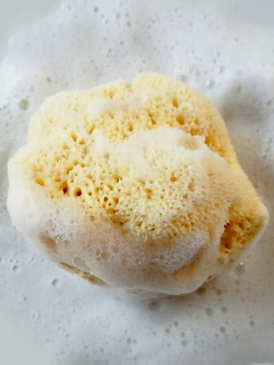 Spugna di mare naturale per il corpo