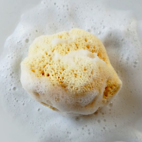 Spugna di mare naturale per il corpo - immagine 2