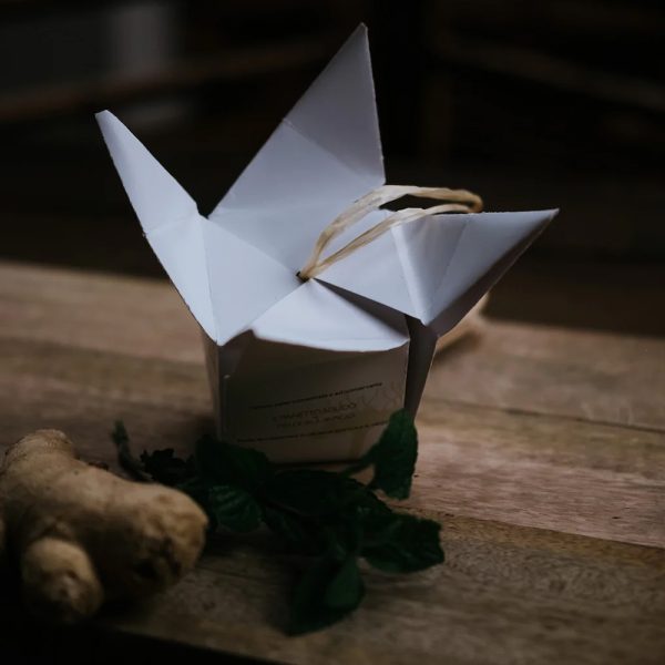 Shampoo + balsamo solido 2 in 1 - per capelli fini - "Gengevo" - immagine 3