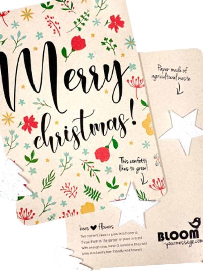 Biglietto di auguri piantabile – Natale
