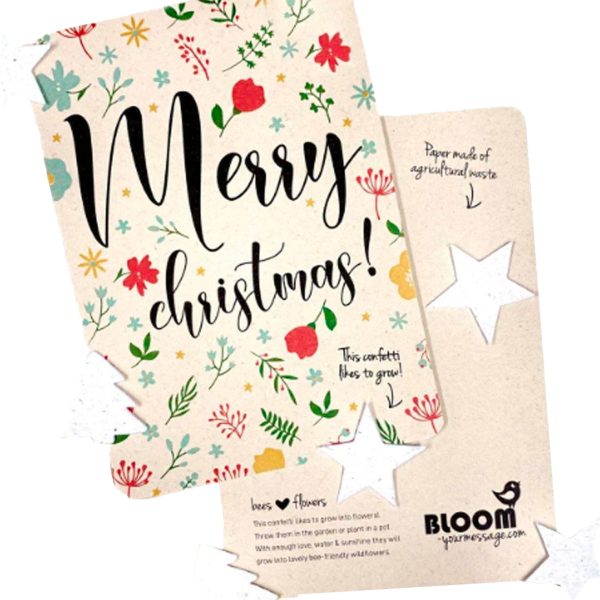 Biglietto di auguri piantabile - Natale