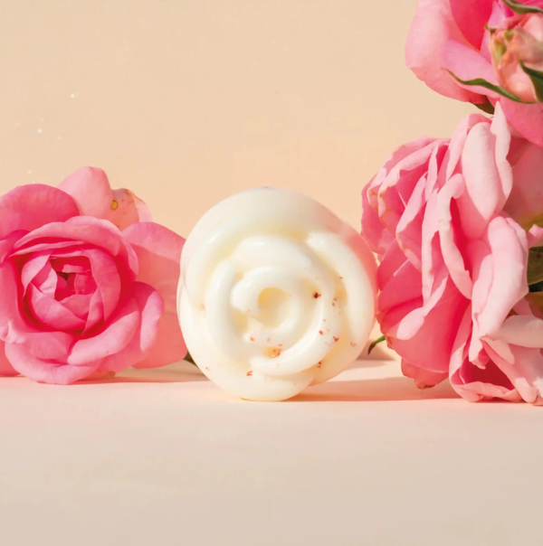 Essenza solida profuma ambiente