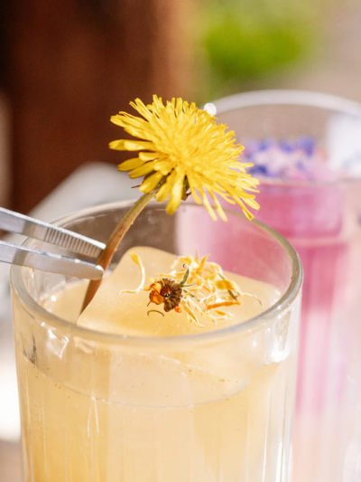 Sciroppo BIO Sambuco