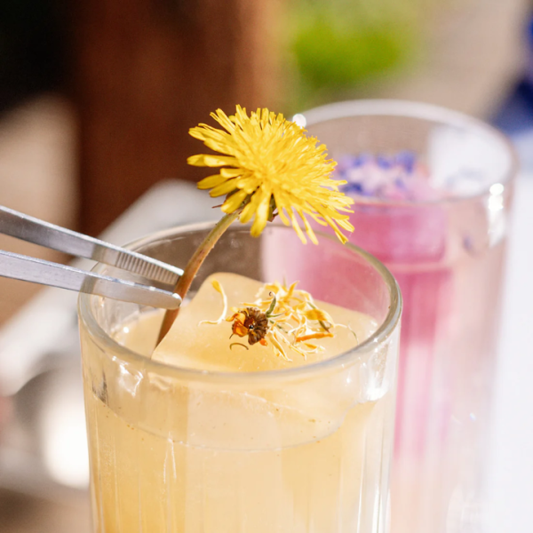 Sciroppo BIO Sambuco - immagine 2