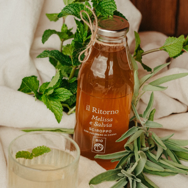 Sciroppo BIO Melissa e Salvia - immagine 2