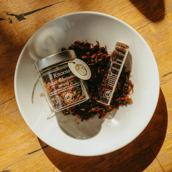 Infuso di Natale - Silenzio d'Inverno