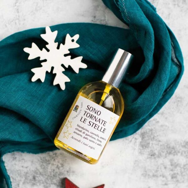 Profumo di Natale - Sono tornate le stelle - immagine 2