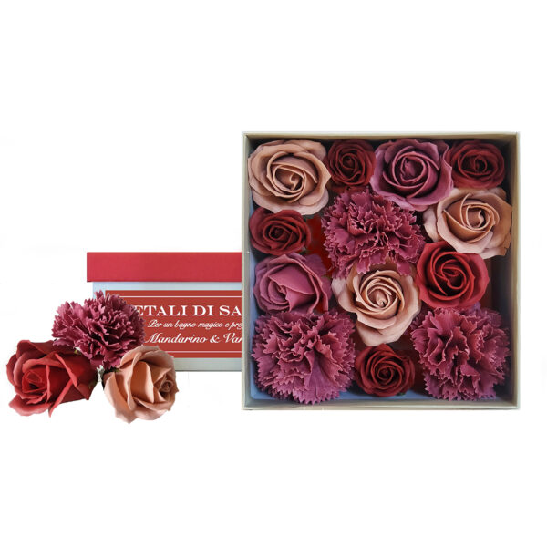 Petali di Sapone - immagine 2