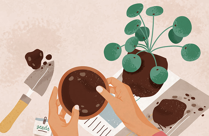 Febbraio 2026: Coltivati con Gentilezza