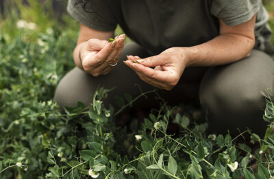 Domenica 17 maggio 2026 – Foraging: ritorno alla Natura