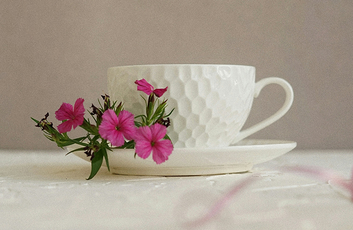 Venerdì 20 marzo 2026 – Un Tè tra i fiori: benvenuto alla primavera