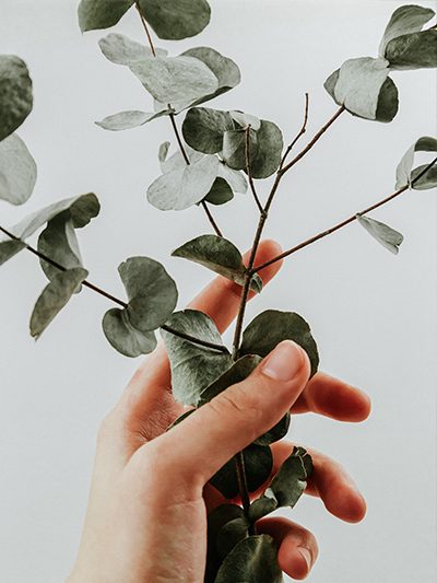 Shop online prodotti naturali essenzi-ali